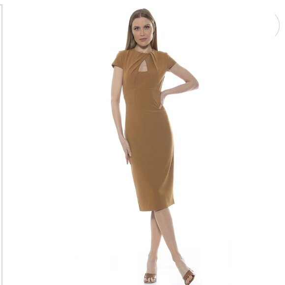 Alexia Admor Janine Draped Neck Midi Sheath Dress in Nude NWT - XS - MSRP $225 - Picture 1 of 3